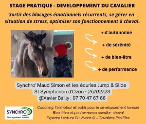 Voici un stage qui vous est proposé par Maud Simon dans le cadre d'un synchro-coaching pour faire face au stress.