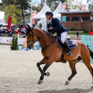 Dans cet article on met en avant les stages de CSO possible avec Cyril Bouvard, cavalier de l'équipe de France.