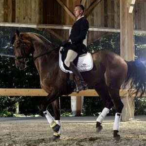 Un stage de dressage vous sera proposé par Jump & Slide avec Nicolas Brodziak, qui vous aidera tout le long.