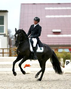 Voici l'histoire de nos stages de dressage. Découvrez les dates de ces stages en questions. Si vous êtes intéressé, contactez nous.