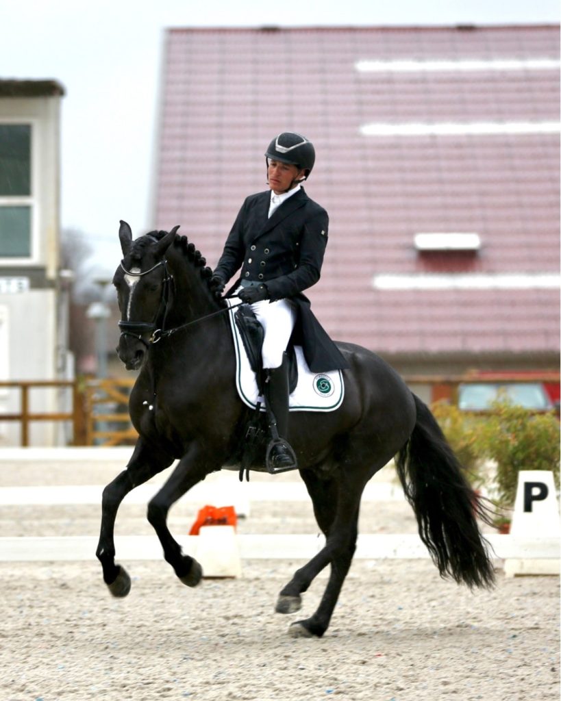 Voici l'histoire de nos stages de dressage. Découvrez les dates de ces stages en questions. Si vous êtes intéressé contactez nous.