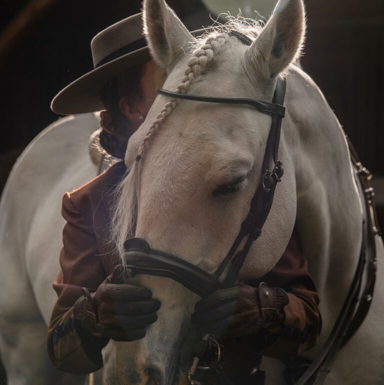 événement équestre organisé par un cavaliers professionnels à lyon