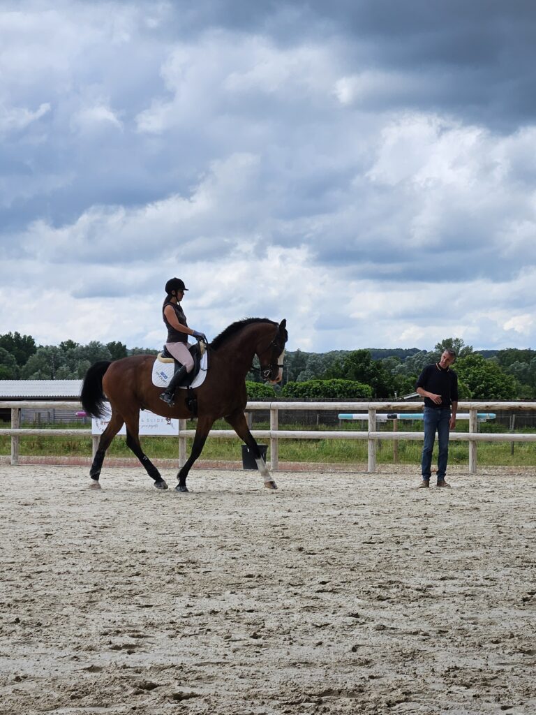 stage d'équitation de dressage