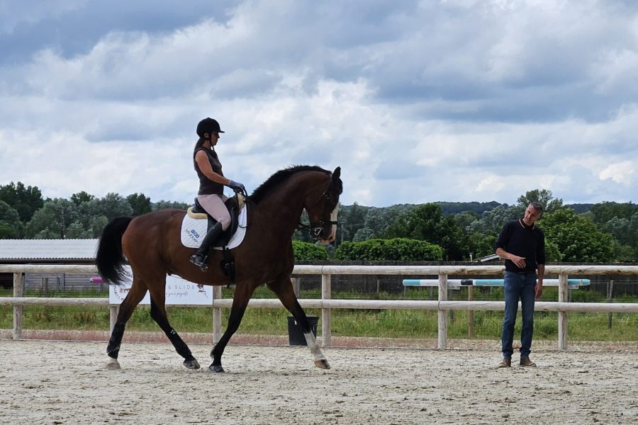 stage d'équitation de dressage