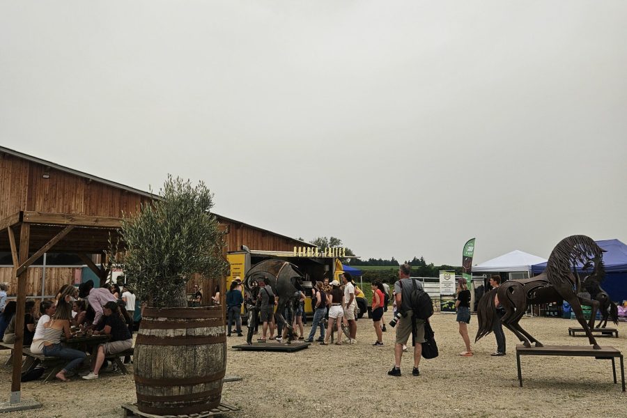 événements équestre Nokota Challenge