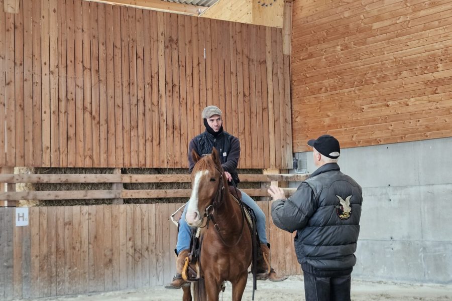 stage d'équitation de travail
