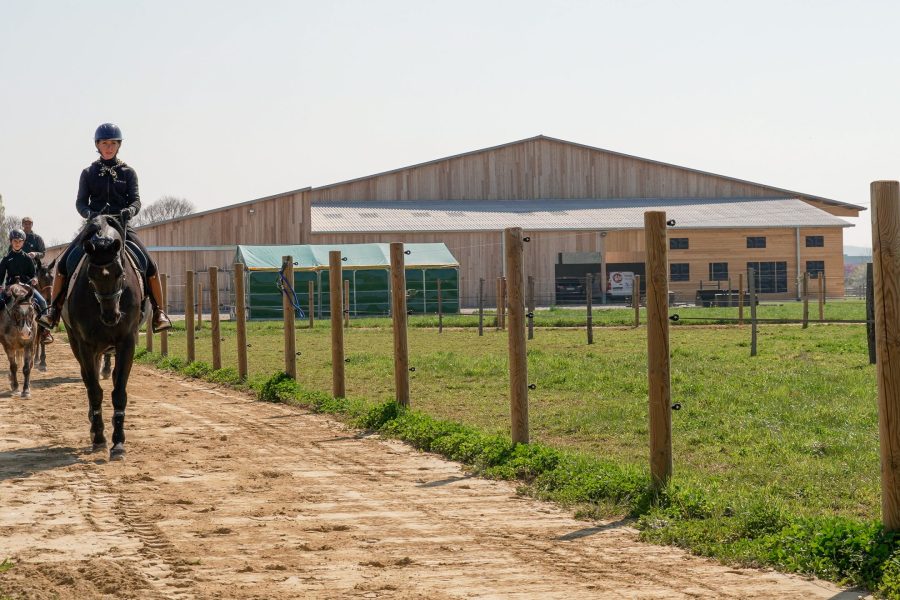 Découvrez nos concours d’entrainement d’équitation de travail organisé par Marion BURNICHAON durant le mois de juin.