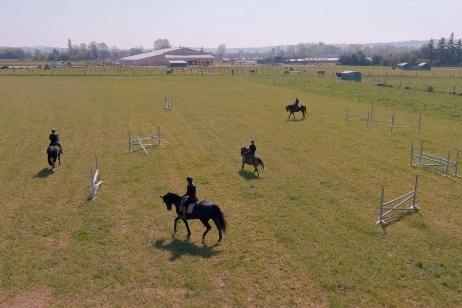 Découvrez nos concours d’entrainement d’équitation de travail organisé par Marion BURNICHAON durant le mois de juin.