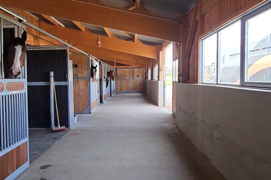 écurie de transit pour chevaux près de Lyon